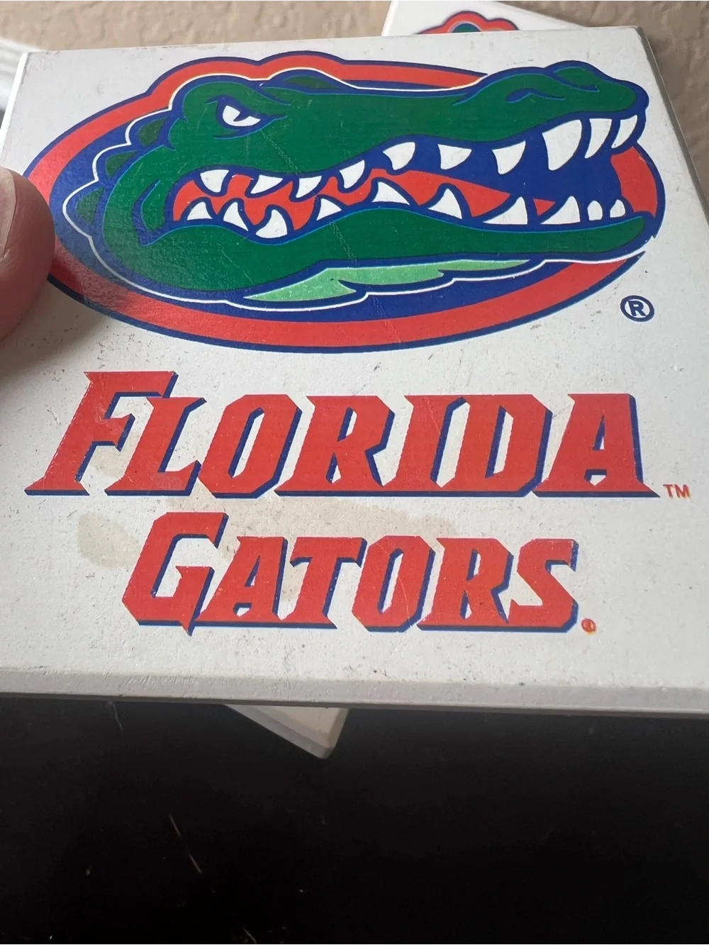 Florida Gators vintage florida